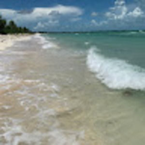 Meet your Posher, Jack